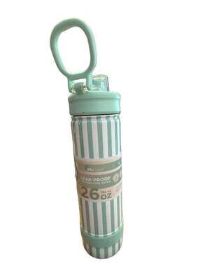 Tal Stainless Steel Water Bottle 26 oz Mint Green Striped